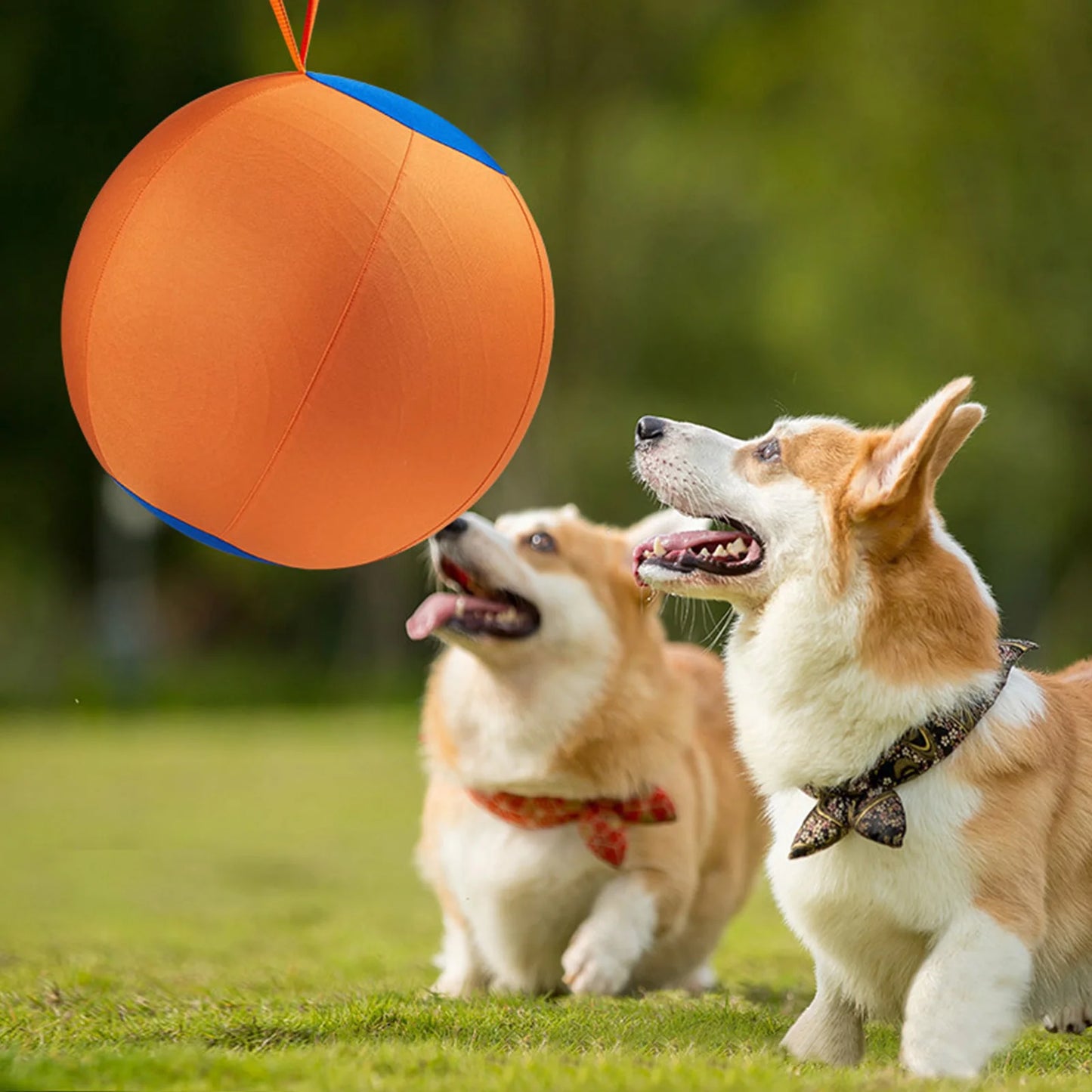 Dog Soccer Ball Toy with Heavy-Duty Handle Cover & Pump Dog Exercise Ball for Australian Shepherd Border Collie Cattle Dogs