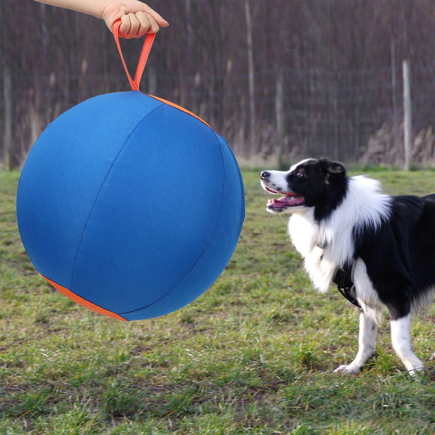 Dog Soccer Ball Toy with Heavy-Duty Handle Cover & Pump Dog Exercise Ball for Australian Shepherd Border Collie Cattle Dogs