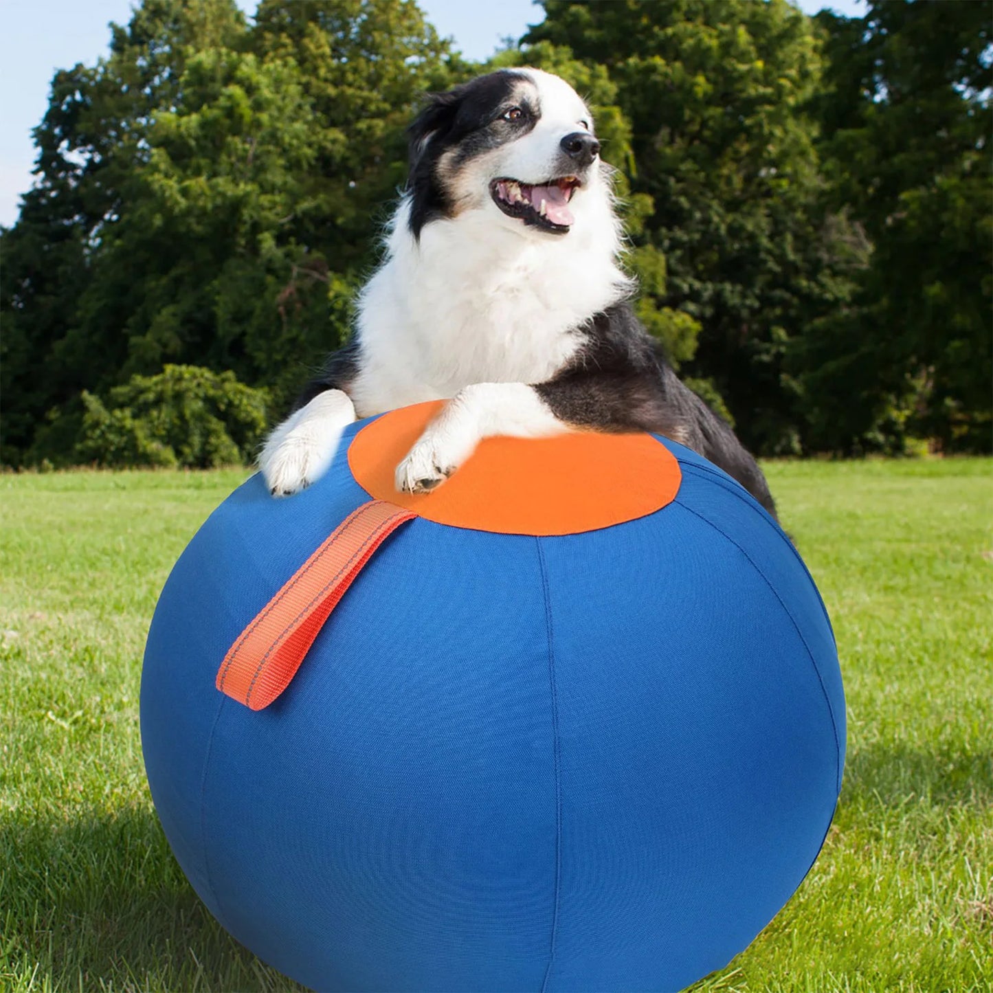 Dog Soccer Ball Toy with Heavy-Duty Handle Cover & Pump Dog Exercise Ball for Australian Shepherd Border Collie Cattle Dogs