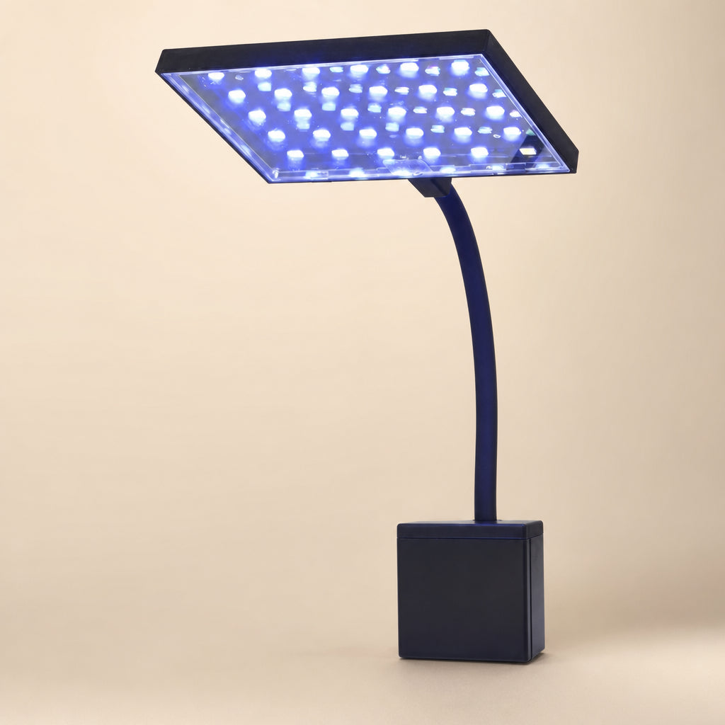 BrightWave High-Output Tank LED