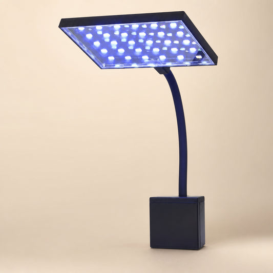 BrightWave High-Output Tank LED