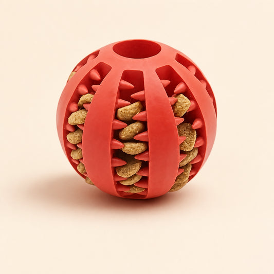 Treat Chew Ball